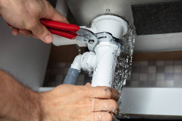 Best Professional water damage repair  in Coraopolis, PA