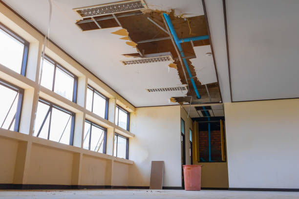 Best 24-hour water damage restoration  in Coraopolis, PA
