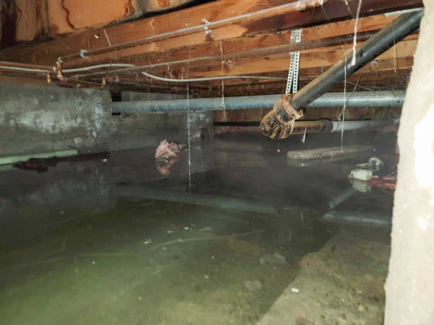 Sewage cleanup and water damage restoration in Coraopolis, PA