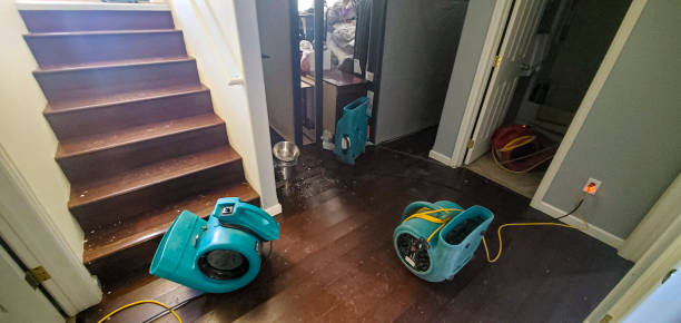 Best Flood restoration services  in Coraopolis, PA