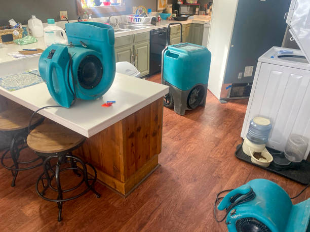 Best Water damage restoration experts  in Coraopolis, PA