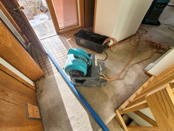 Best Carpet water damage restoration  in Coraopolis, PA