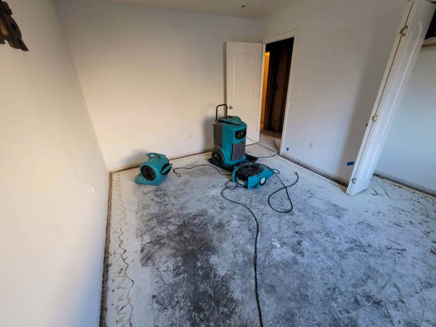 Best Water damage contractors near me  in Coraopolis, PA