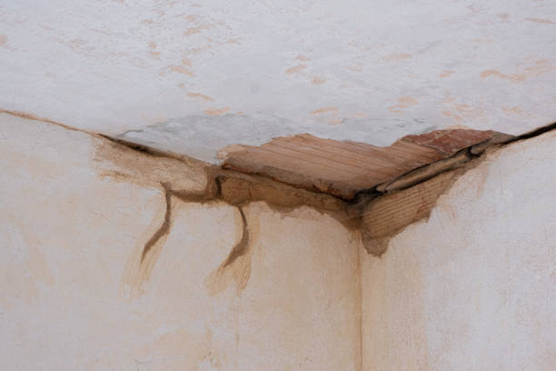 Best Local water damage restoration  in Coraopolis, PA