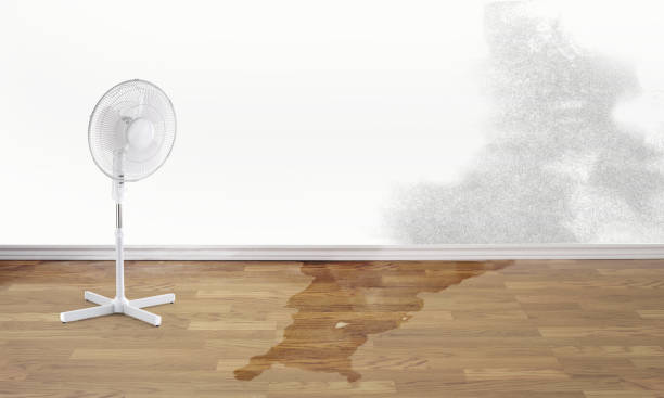 Best Flooded house restoration  in Coraopolis, PA