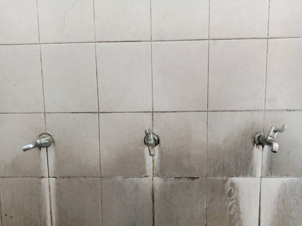 Best Sewage cleanup and water damage restoration  in Coraopolis, PA